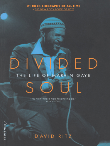 Divided Soul: the Life Of Marvin Gaye
