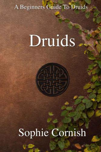 Druids: a beginners guide to druids