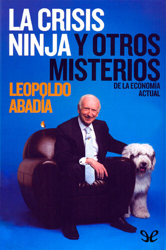 La crisis ninja y otros misterios de la economía actual