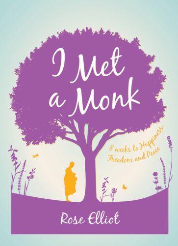 I met a monk: 8 weeks to happiness, freedom and peace