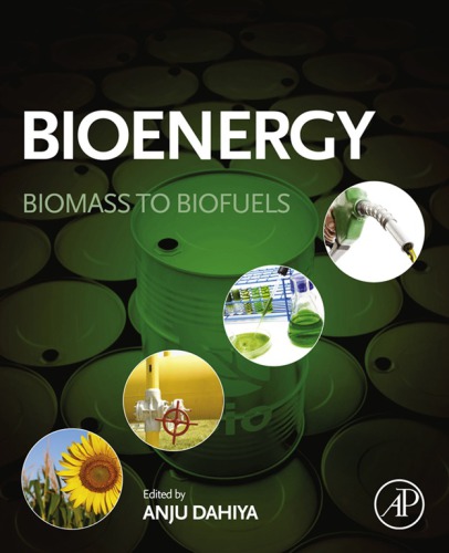 Biomass to Biofuels