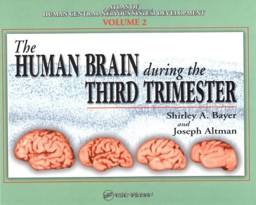 Atlas of human central nervous system development