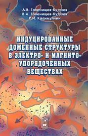 Индуцированные доменные структуры в электро- и магнитоупорядоченных веществах