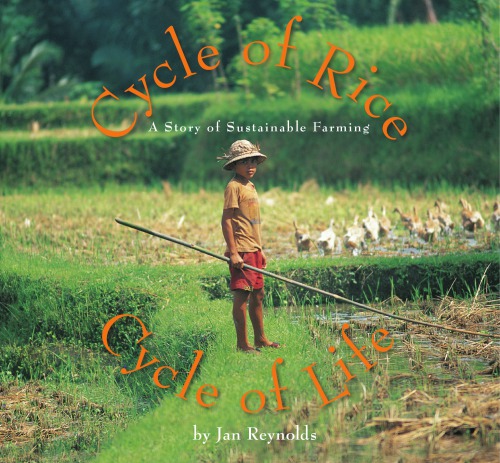 Cycle of rice, cycle of life