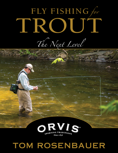 Fly fishing for trout: the next level
