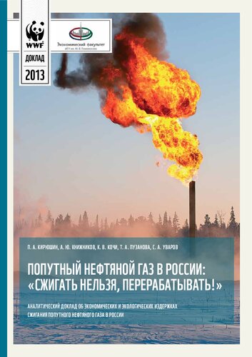ПОПУТНЫЙ НЕФТЯНОЙ ГАЗ В РОССИИ: "СЖИГАТЬ НЕЛЬЗЯ, ПЕРЕРАБАТЫВАТЬ!"