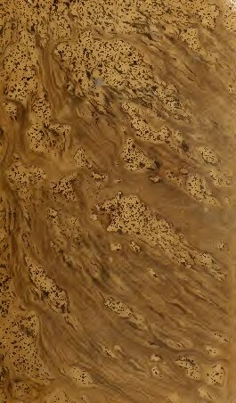 Leyendas Moriscas, sacadas de varios manuscritos existentes en las Bibliotecas Nacional, Real y de D.P. de Gayangos