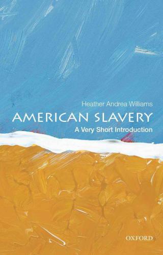 American slavery: a very short introduction