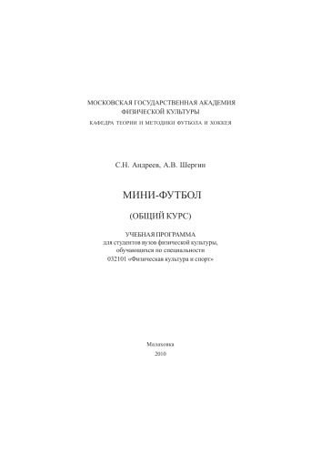 Мини-футбол