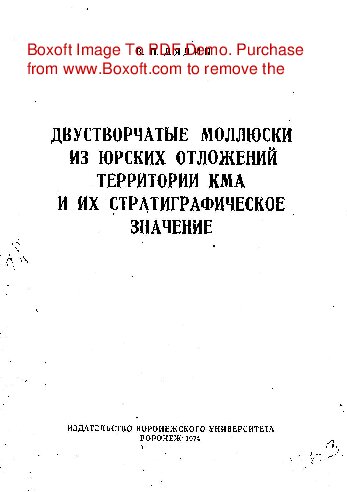  Двустворчатые моллюски из юрских отложений территории КМА и их стратиграфическое значение