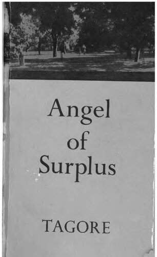 Angel of surplus : some essays and addresses on aesthetics
