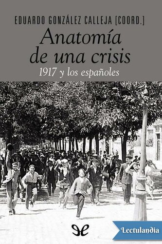 Anatomía de una crisis