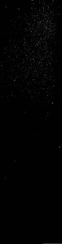 Physics of Long-Range Interacting Systems
