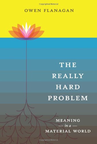 The Really Hard Problem: Meaning in a Material World