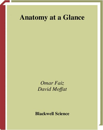 Anatomy at a glance