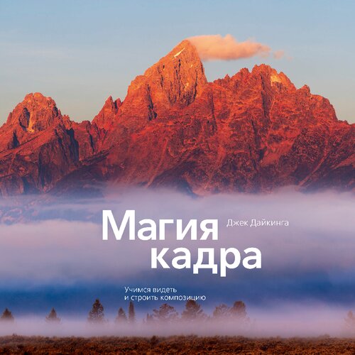 Магия кадра. Учимся видеть и строить композицию