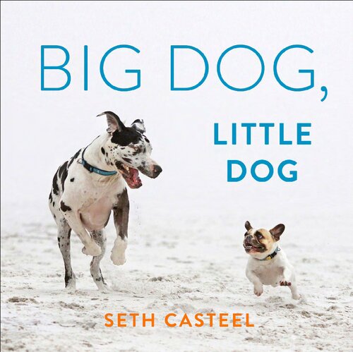 Big Dog, Little Dog