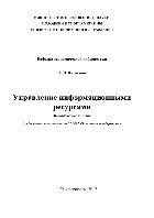 Управление информационными ресурсами. Методическое пособие для бакалавров по специальности 6.030502 «Экономическая кибернетика»