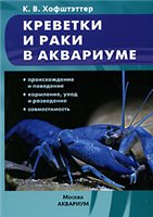 Креветки и раки в аквариуме