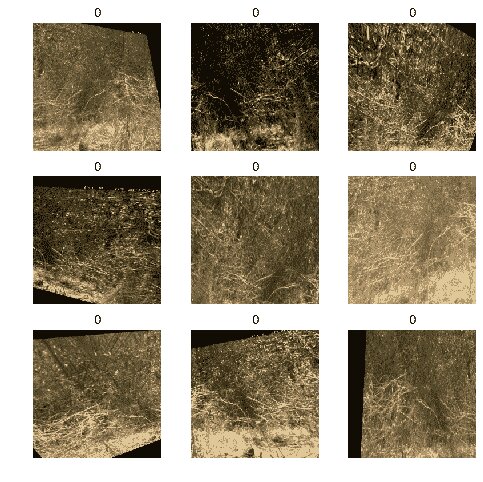 Kaggle Kernel - iwildcam-2019-fgvc6 - Page3