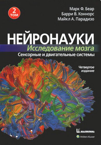 Нейронауки. Исследование мозга