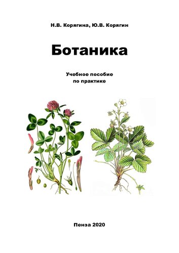 Ботаника