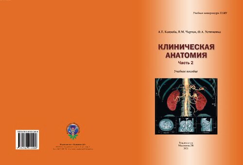 Клиническая анатомия. Часть 2