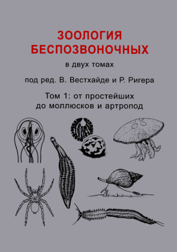 Зоология беспозвоночных