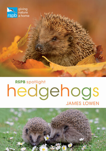 RSPB Spotlight: Hedgehogs