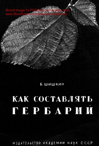 Как составлять гербарий