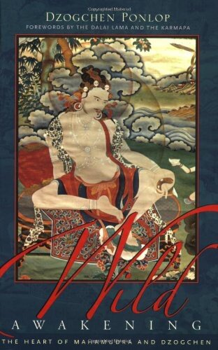Wild Awakening: The Heart of Mahamudra and Dzogchen