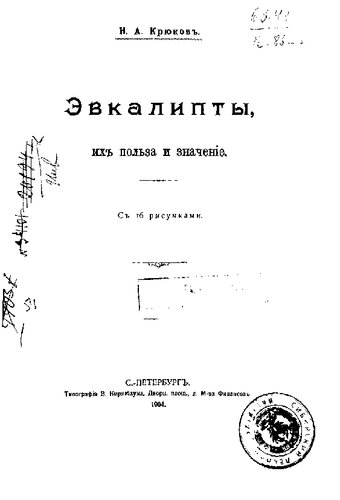 Эвкалипты, их польза и значение