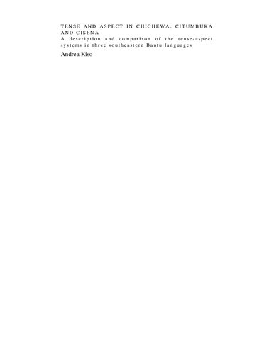 Tense and Aspect in Chichewa, Citumbuka and Cisena (A description and comparison of the tense-aspect systems in three southeastern Bantu languages)