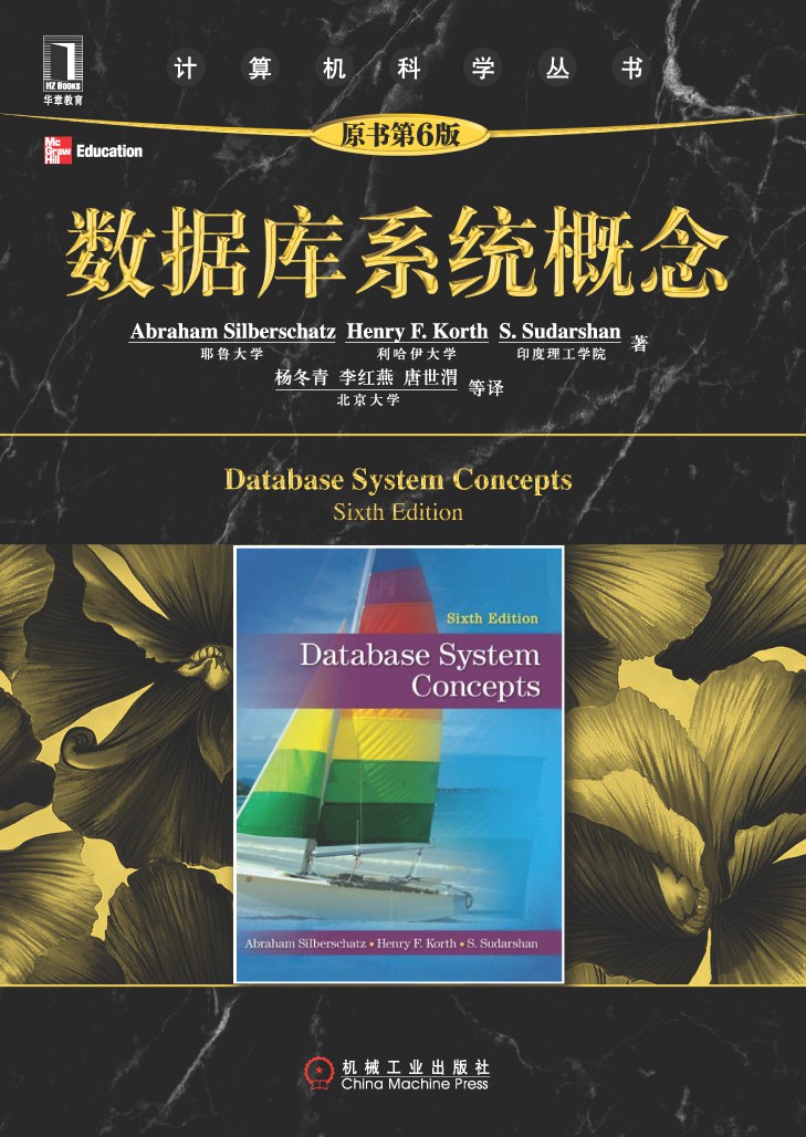 数据库系统概念: （原书第6版）
