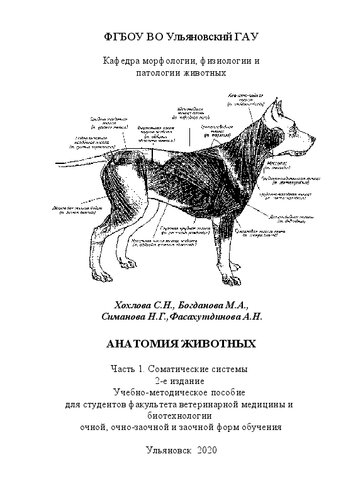 Анатомия животных. Часть 1. Соматические системы: Учебно-методическое пособие