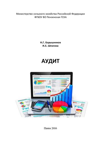 Аудит: Учебное пособие для студентов экономического факультета направления подготовки 38.03.01 Экономика, направленность (профиль) «Бухгалтерский учет, анализ и аудит»