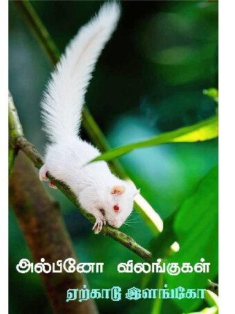 அல்பினோ விலங்குகள்