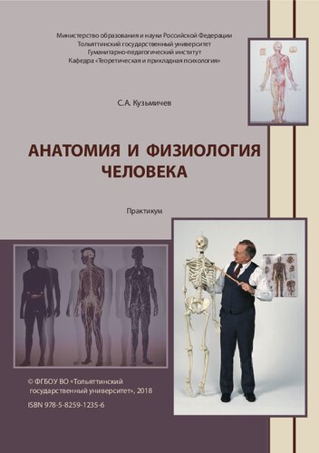 Анатомия и физиология человека: практикум