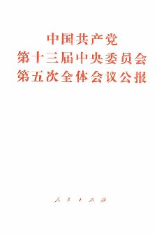 中国共产党第十三届中央委员会第五次全体会议公报