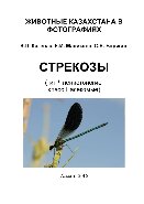 Стрекозы. Тип Членистоногие, класс Насекомые. Серия «Животные Казахстана в фотографиях»