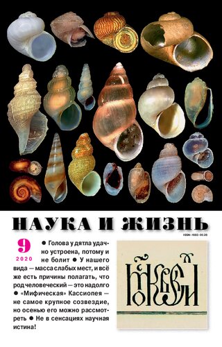 Наука и жизнь