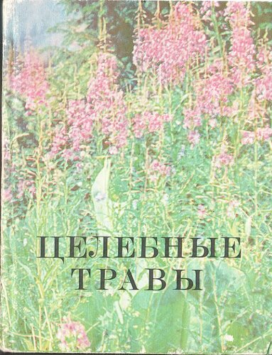 Целебные травы