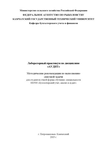 Лабораторный практикум по дисциплине ''Аудит'': Методические рекомендации по выполнению сквозной задачи
