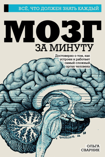 Мозг за минуту
