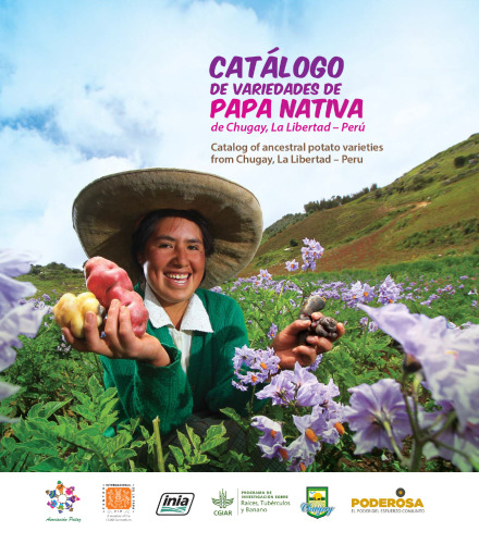Catálogo de variedades de papa nativa de Chugay, La Libertad – Perú/ Catalog of ancestral potato varieties from Chugay, La Libertad – Peru