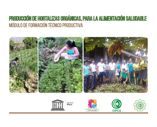 Producción de hortalizas orgánicas, para la alimentación saludable. Módulo de formación técnico productiva