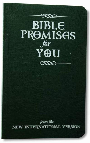 Bible Promises for You