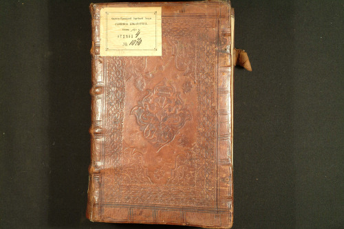 Трiодь Цветная
