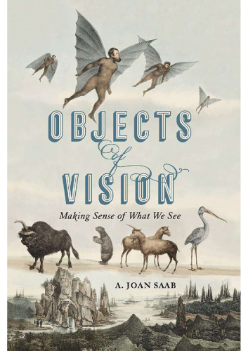 Objects of Vision: Making Sense of What We See (Perspectives on Sensory History)