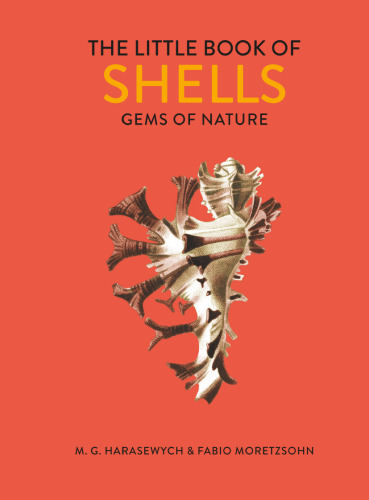 Little Book of Shells